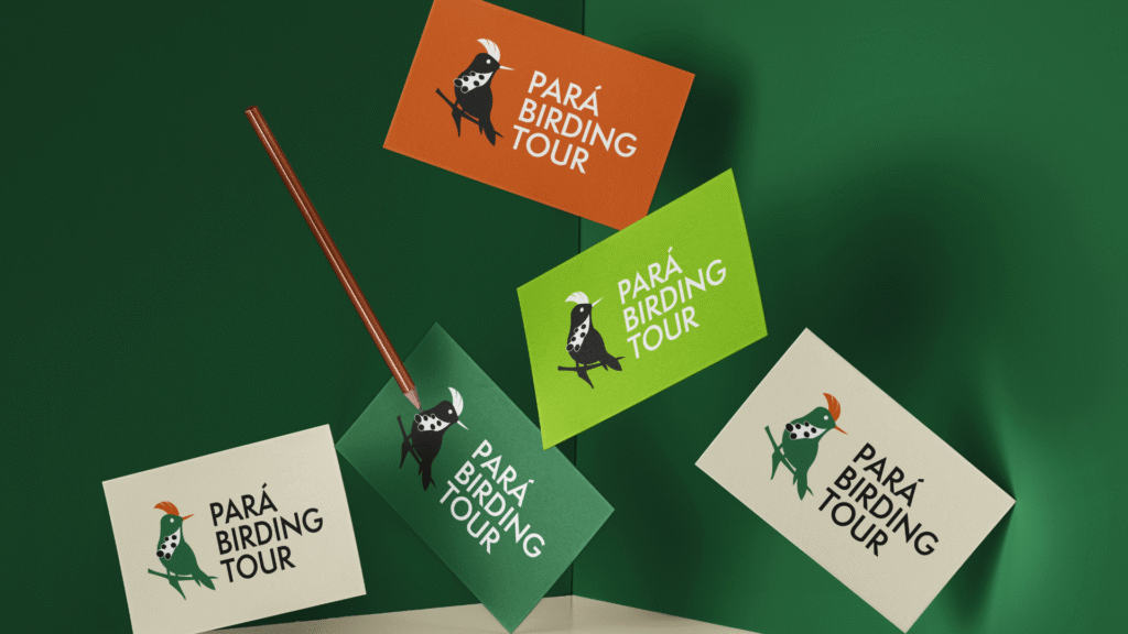 Thumbnail do projeto Pará Birding Tour